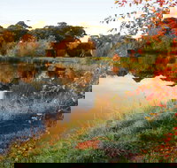 Alpine - Lightning Ridge Tourism