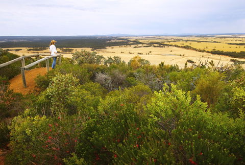 Archer Drive Scenic Drive And Lookout - Lightning Ridge Tourism 0