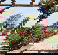 Australian Inland Botanic Gardens - Lightning Ridge Tourism