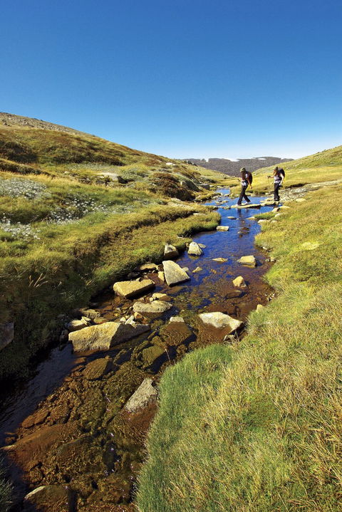 Australian Alps Walking Track - Lightning Ridge Tourism 0