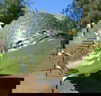 Big Murray Cod - Lightning Ridge Tourism