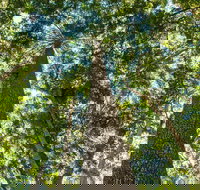 Big Sky National Parks - Lightning Ridge Tourism