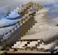 Big Merino - Lightning Ridge Tourism