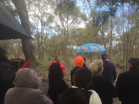 Bindjareb Cultural Park - Lightning Ridge Tourism 2