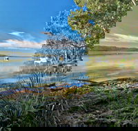 Black Oaks Picnic Area - Lightning Ridge Tourism