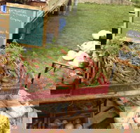 Burnie Farmers Market - Lightning Ridge Tourism