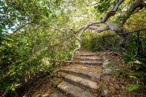 Capricorn Coast National Park - Lightning Ridge Tourism 2