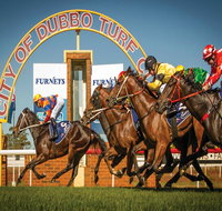 Dubbo Turf Club - Open with Races But No Spectators - Lightning Ridge Tourism