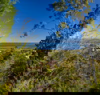 Dunwich Goompie - Lightning Ridge Tourism