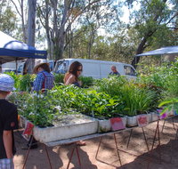 Fernvale Country Markets - Lightning Ridge Tourism