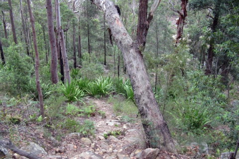 Frere's Crossing Bushwalk - Lightning Ridge Tourism 2