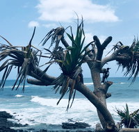 Hastings Point Beach - Lightning Ridge Tourism