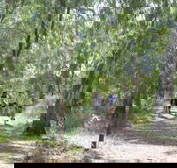 Hay Free Push Bikes - Lightning Ridge Tourism