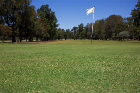 Howlong Golf Resort - Lightning Ridge Tourism 2