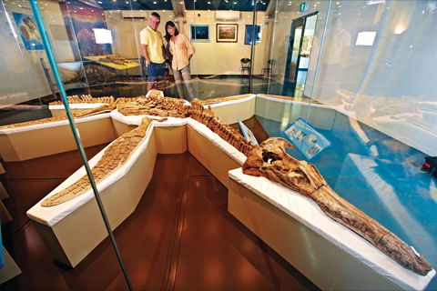 Kronosaurus Korner - Lightning Ridge Tourism 1