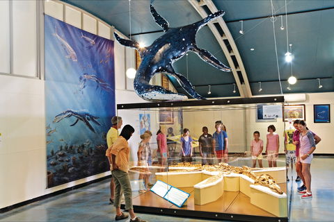 Kronosaurus Korner - Lightning Ridge Tourism 2