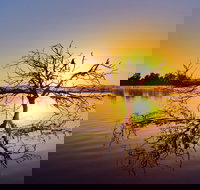 Lake Dyer - Lightning Ridge Tourism