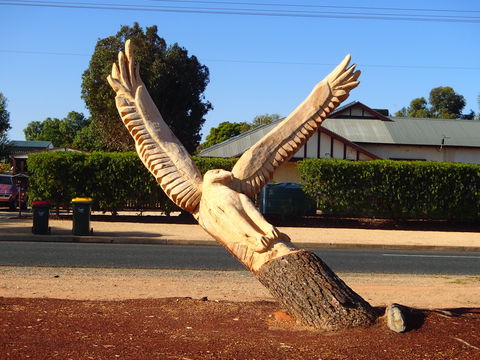 Loxton Tree Sculptures - Lightning Ridge Tourism 0