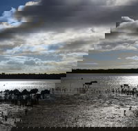 Marine Parade Hastings Foreshore Reserve Circuit - Cycling - Lightning Ridge Tourism