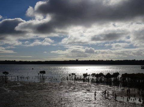 Marine Parade (Hastings Foreshore Reserve) Circuit - Cycling - Lightning Ridge Tourism 0