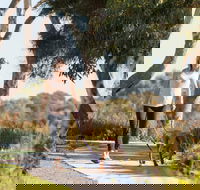 Meningie Walking and Cycling Trails - Lightning Ridge Tourism