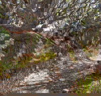 Middle Lagoon Walking Track - Lightning Ridge Tourism