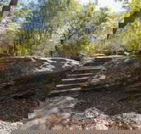 Mooney Mooney nature walk - Lightning Ridge Tourism