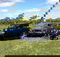 Moree Motor Enthusiasts - Lightning Ridge Tourism