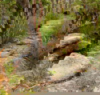Mount Olive Trail - Lightning Ridge Tourism