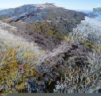 Mt Buller Bike Park - Lightning Ridge Tourism