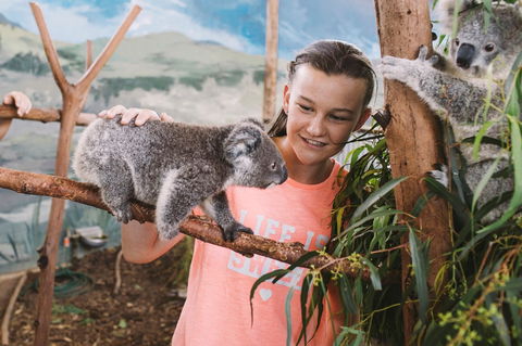 Oakvale Wildlife Park - Lightning Ridge Tourism 0