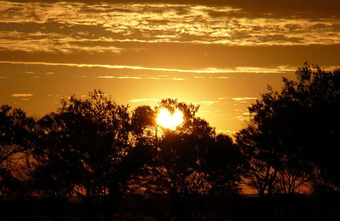 Paroo-Darling National Park - Lightning Ridge Tourism 0