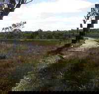 Penola Conservation Park - Lightning Ridge Tourism