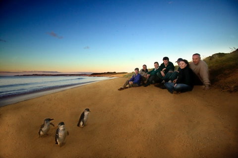 Phillip Island - Lightning Ridge Tourism 2