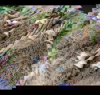 Queanbeyan Park Market - Lightning Ridge Tourism