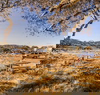 Rennix walking track - Lightning Ridge Tourism