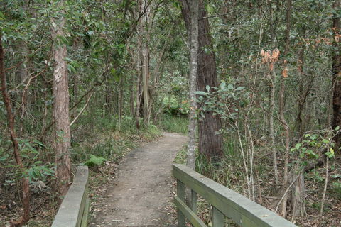 Springwood Conservation Park - Lightning Ridge Tourism 0