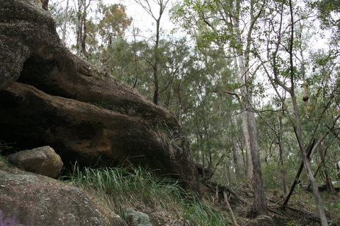 Springwood Conservation Park - Lightning Ridge Tourism 2