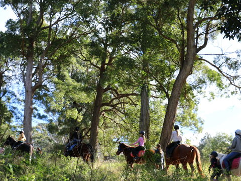 The Outlook Riding Academy - Lightning Ridge Tourism 0