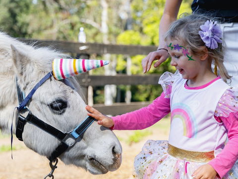 The Outlook Riding Academy - Lightning Ridge Tourism 1