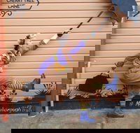 The Story Bank - Lightning Ridge Tourism