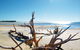 Woodgate Beach Park And Playground - thumb 1