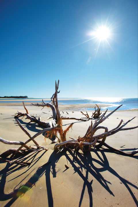 Woodgate Beach Park And Playground - Lightning Ridge Tourism 1