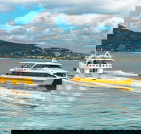 Apex Camps Magnetic Island Group Accommodation Activities and Events - Lightning Ridge Tourism