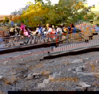 Australian Age of Dinosaurs - Lightning Ridge Tourism