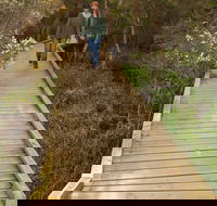 Balcombe Creek Estuary Boardwalk - Lightning Ridge Tourism