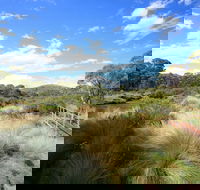 Bullocks walking track - Lightning Ridge Tourism
