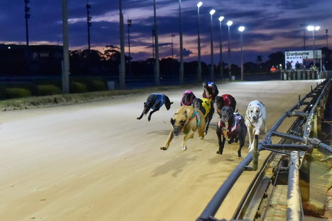Cranbourne Greyhound Racing Club - Lightning Ridge Tourism 1