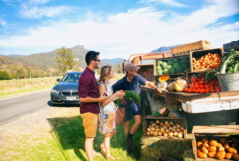 Darlington Park - Lightning Ridge Tourism 1