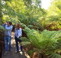 Endeavour Fern Gully Walks - Lightning Ridge Tourism